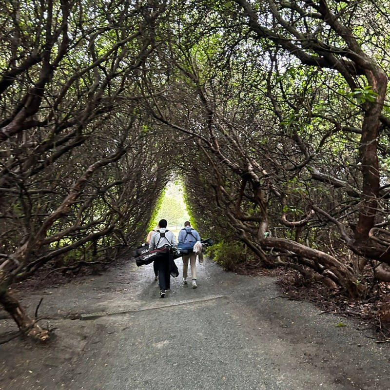 LUGS v Old Uppingham v Old St Peters Saturday 7 March 2026 at New&nbsp;Zealand